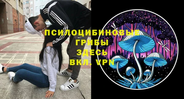 гашик Магадан