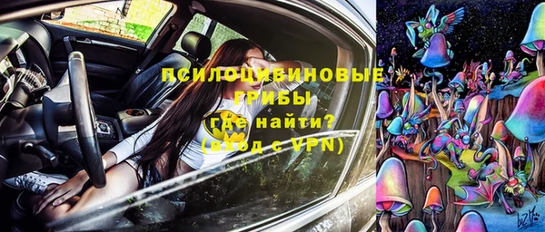 гашик Магадан