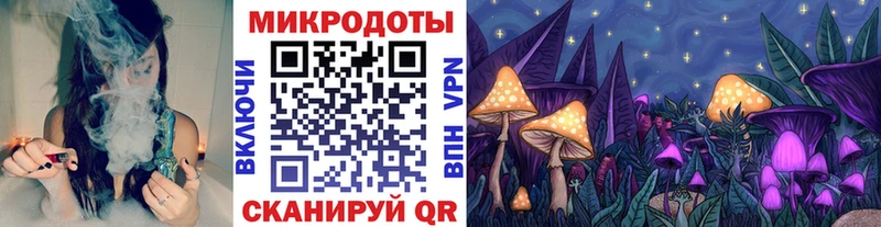 Купить  Лодейное Поле  Галлюциногенные грибы Magic Shrooms 
